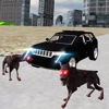 Real 4x4 Jeep Drive City Dogs