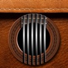 Learn Guitar Theory (AppStore Link)