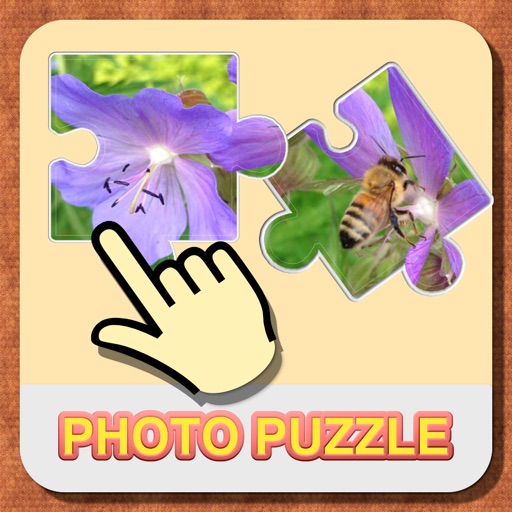 A photo puzzle with beautiful pictures icon