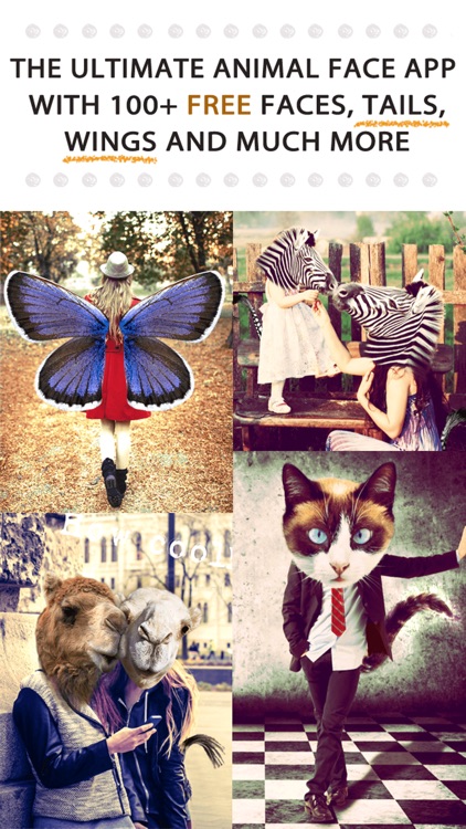 Animal Face - Cat stickers for your photos and more