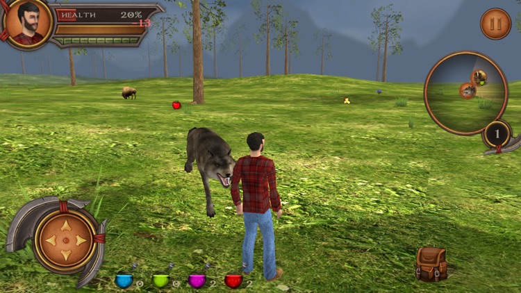 Wild Animals Rescuer 3D