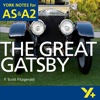 The Great Gatsby York Notes AS and A2 for iPad