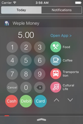 Weple Money Pro screenshot 4