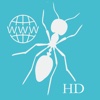 蚂蚁门户-HD