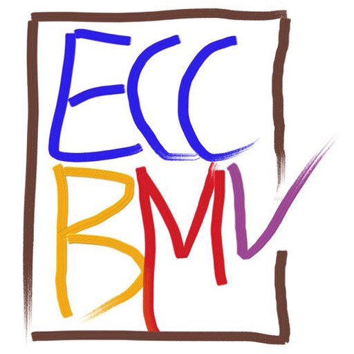 Curso BMV icon