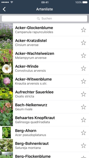 Bienenpflanzen für den Garten(圖2)-速報App