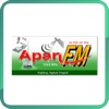 Apan FM 104.6 MHz