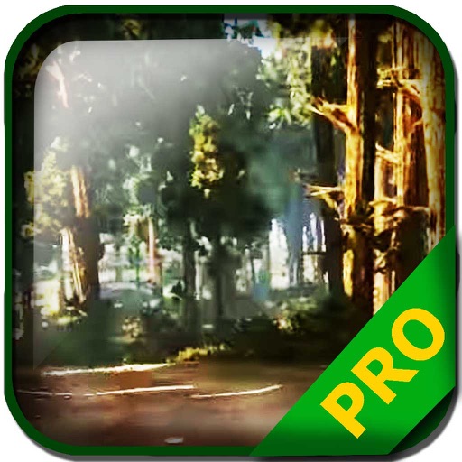 WRC 5 Version