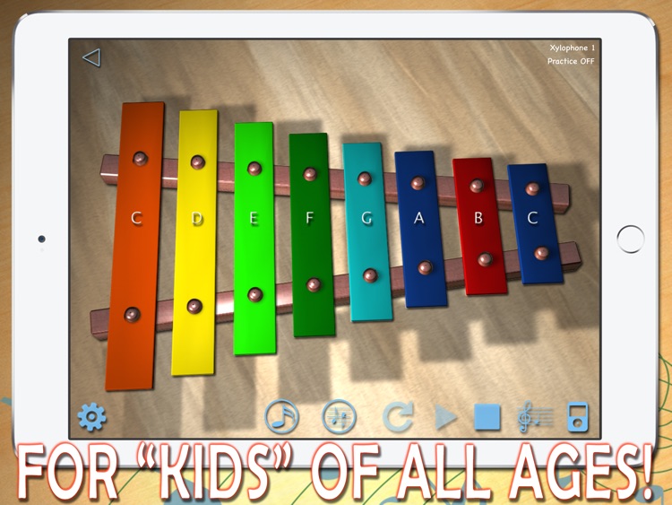 i-XyloPhone Fun HD - PRO screenshot-0