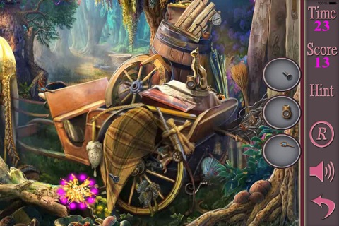 Hidden Objects Of A Crystal Springs screenshot 2