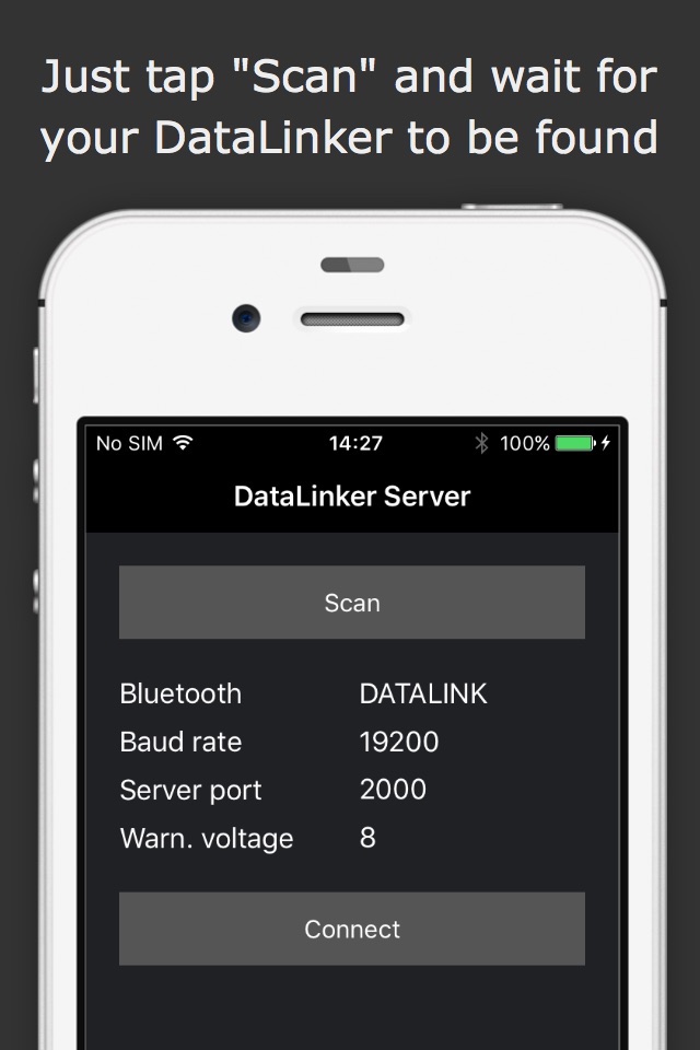 DataLinker Server screenshot 2