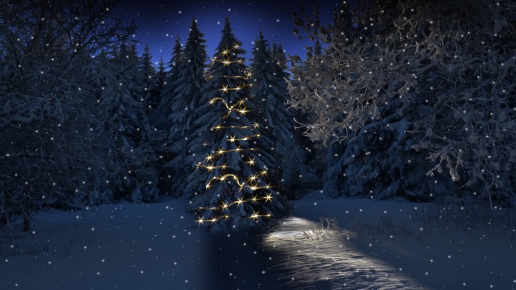 Christmas Snowfall