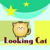 Looking Cat