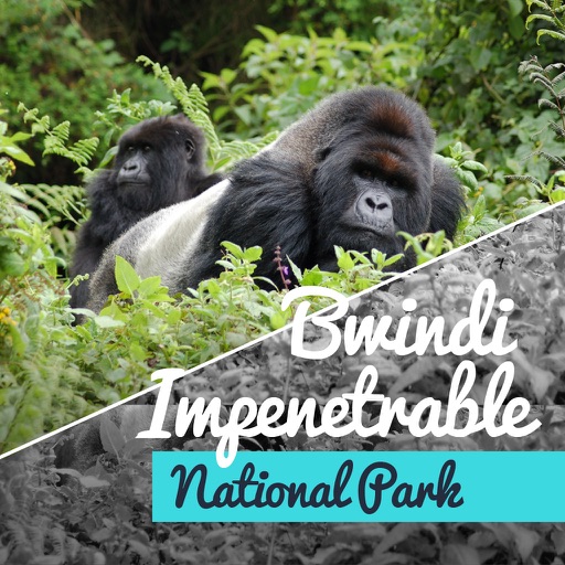 Bwindi Impenetrable National Park