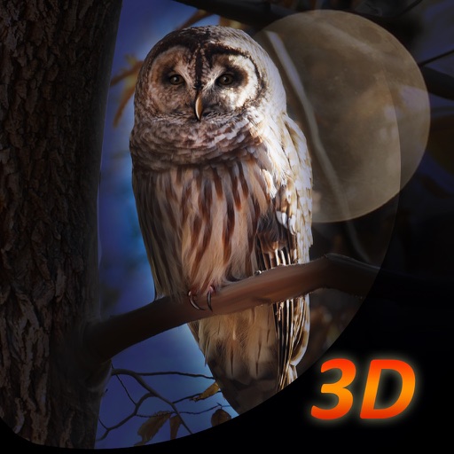 Owl Bird Survival Simulator 3D icon