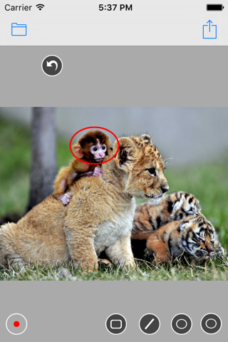 Image Annotation by Panther Studio screenshot 4