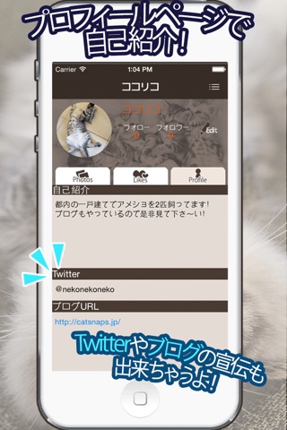 CatSnaps - 愛猫たちの写真共有アプリ screenshot 3