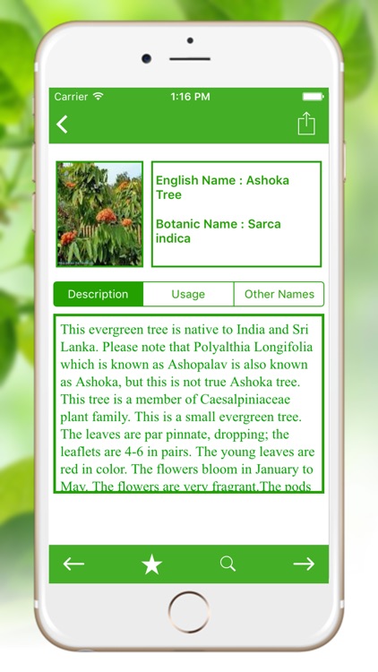 Medicinal Herbal Plants & Cures Herbs screenshot-3