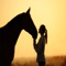 Are you a horse owner