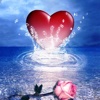 Heart Wallpapers - Beautiful Collection Of Heart Wallpapers