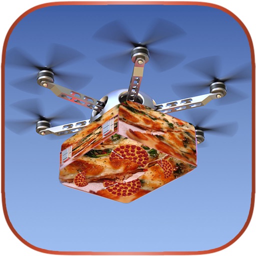 Drone Pizza Delivery Sim iOS App