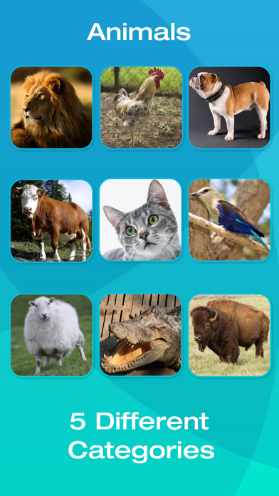 Animal and Tool Flashcards for Babies or ToddlersScreenshot of 4