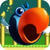 Flappy Rival-The Adventure Of Two Fat Bird Fun Free Games