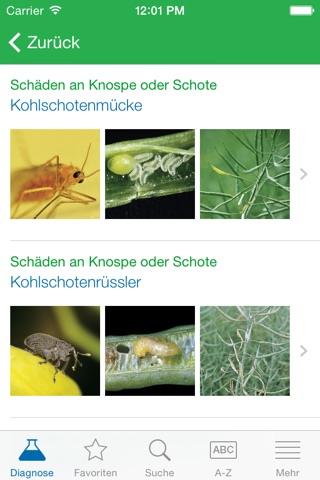 Schädlinge screenshot 3