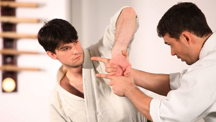 Aikido 2016