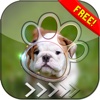 BlurLock – Cute Puppy : Blur Lock Screen Photo Maker Wallpapers For Free