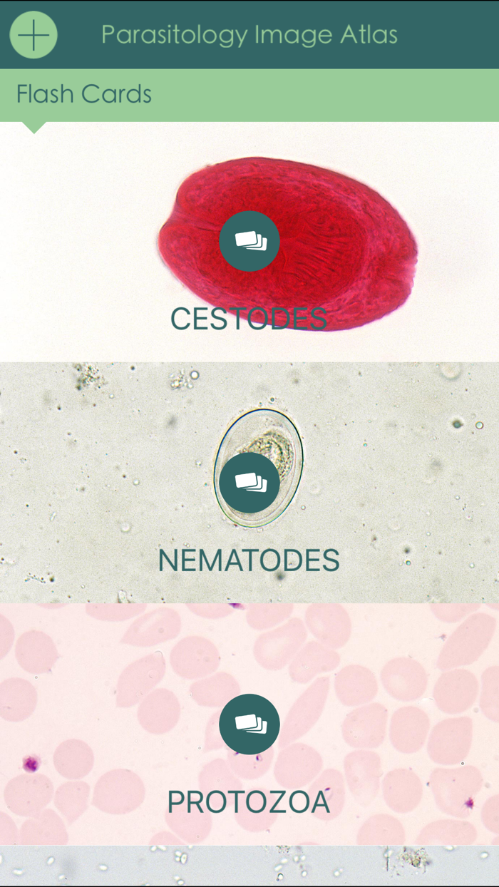 Parasitology Image Atlas