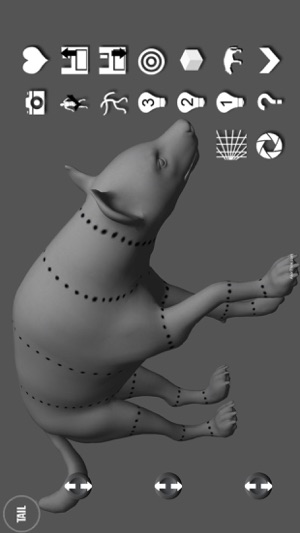 Hyena Pose Tool 3D(圖2)-速報App