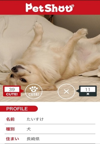PetShot-犬猫ペットの写真＆動画 screenshot 4