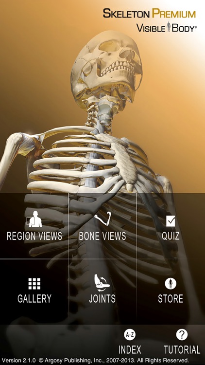 Skeleton Premium screenshot-0