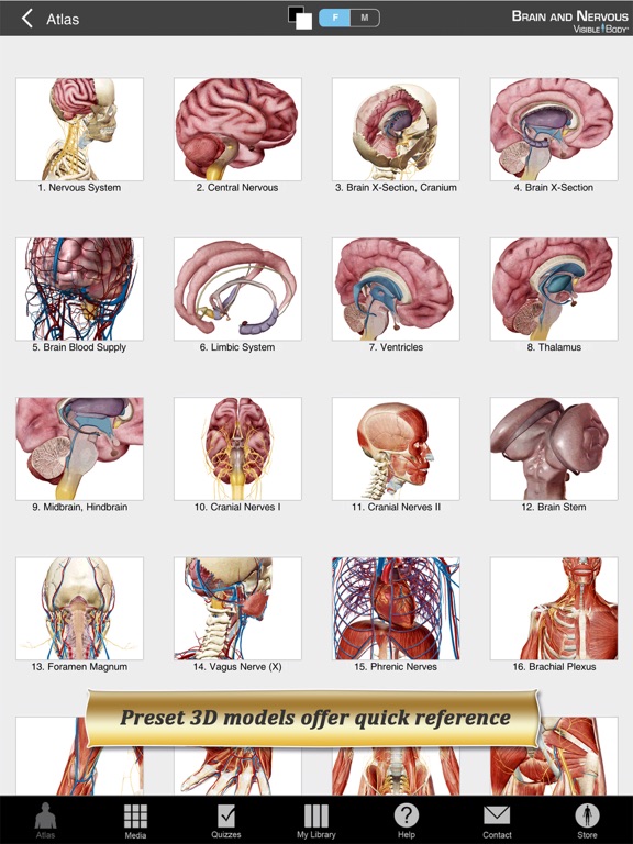Brain and Nervous Anatomy Atlas: Essential Reference for Students and Healthcare Professionalsのおすすめ画像2