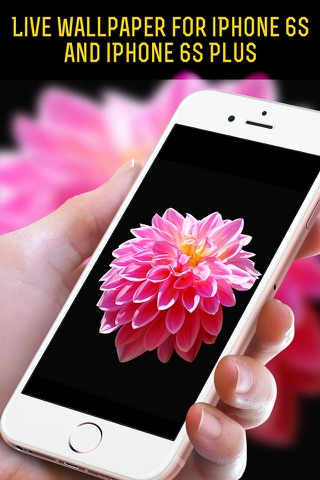 Live Wallpapers for iPhone 6s and iPhone 6s Plus screenshot 3