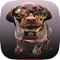 Icon Dogs Quiz - Guess The Hidden Object that What’s Breeds of Dog?