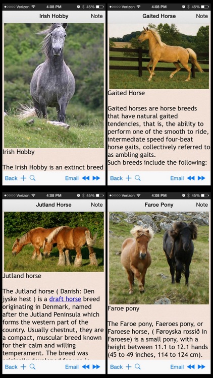 Horse & Pony Encyclopedia