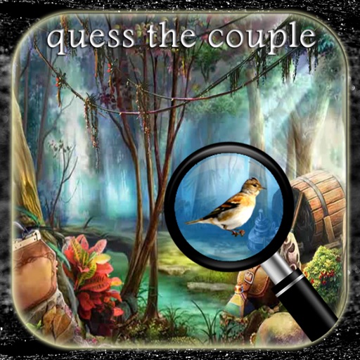 Hidden Objects Of A Quess The Couple icon
