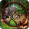 Wild Animal Hunting 3D