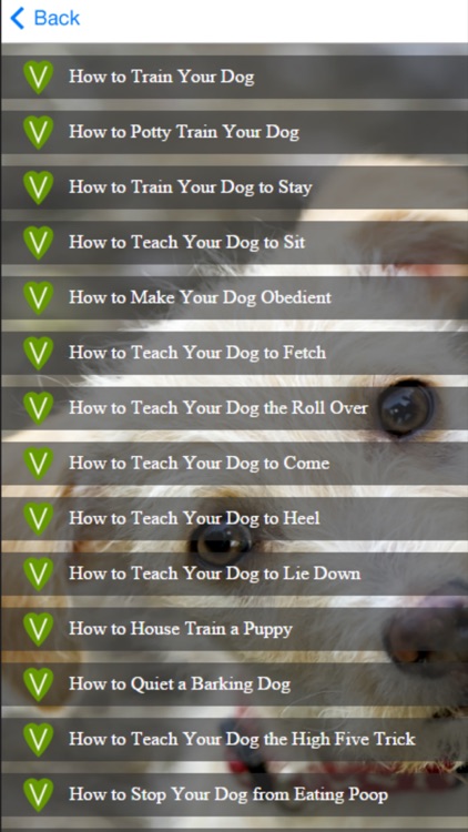 Dog Training - Learn How to House Train a Dog screenshot-3