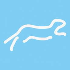 Activities of Ferret Runner
