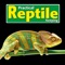 Practical Reptile Keeping – the lizard, snake and invert magazine