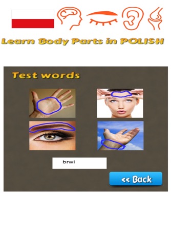 Learn Body Parts in Polish screenshot 4