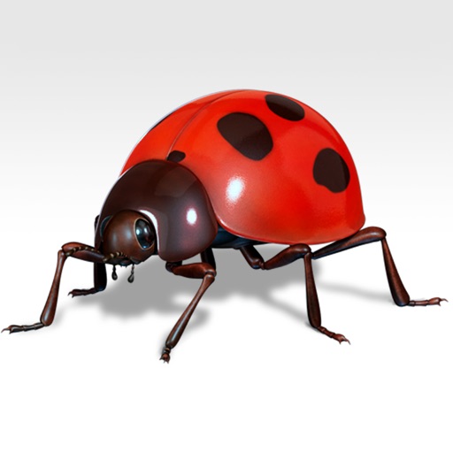 Beetle 3D Icon