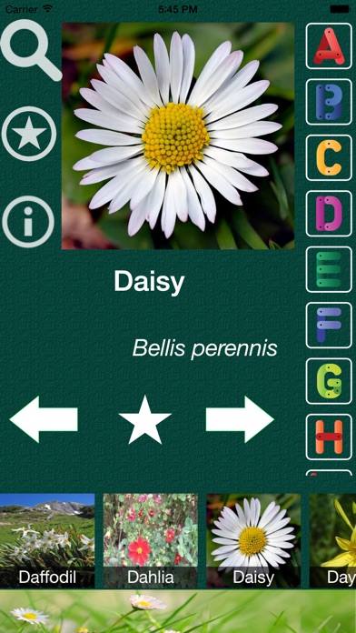 Flower Dictionary All Information About A Z Common Species Of Screenshot 5 For Flower Dictionary All Information About A Z Common Species Of