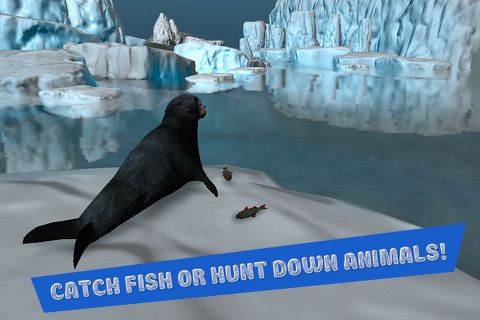 Seal Survival Simulator 3D Full screenshot 2