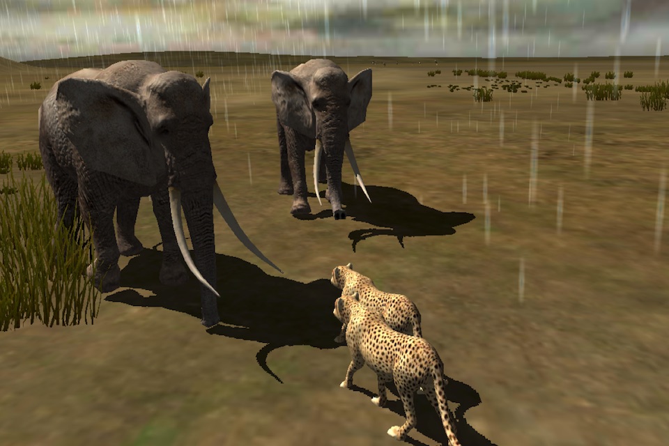 Africa Wild Free screenshot 2