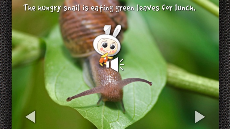 Ribbit, Did I Just Say Ribbit?: Hear to Learn Animal Sounds - Children’s Story Book screenshot-4
