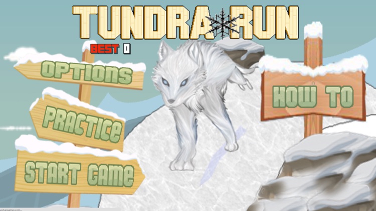 Tundra Run Dash